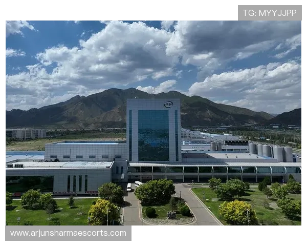 凯时z6集团:科技创新驱动企业持续成长的关键策略 凯时z6集团:科技创新驱动企业持续成长的关键策略