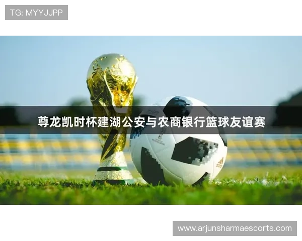 尊龙凯时网页版升级后常见故障排查指南，帮助玩家快速解决遇到的问题