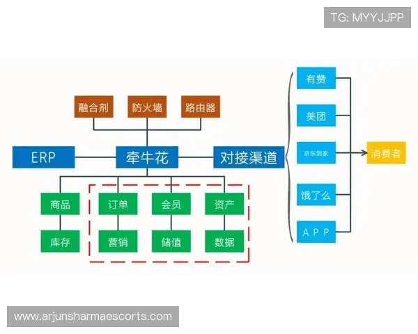 新用户必看:d88官网会员登录流程与特色功能介绍 新用户必看:d88官网会员登录流程与特色功能介绍